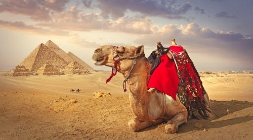 Classic Egypt Tour: Cairo, Luxor, and Aswan (8 Days)