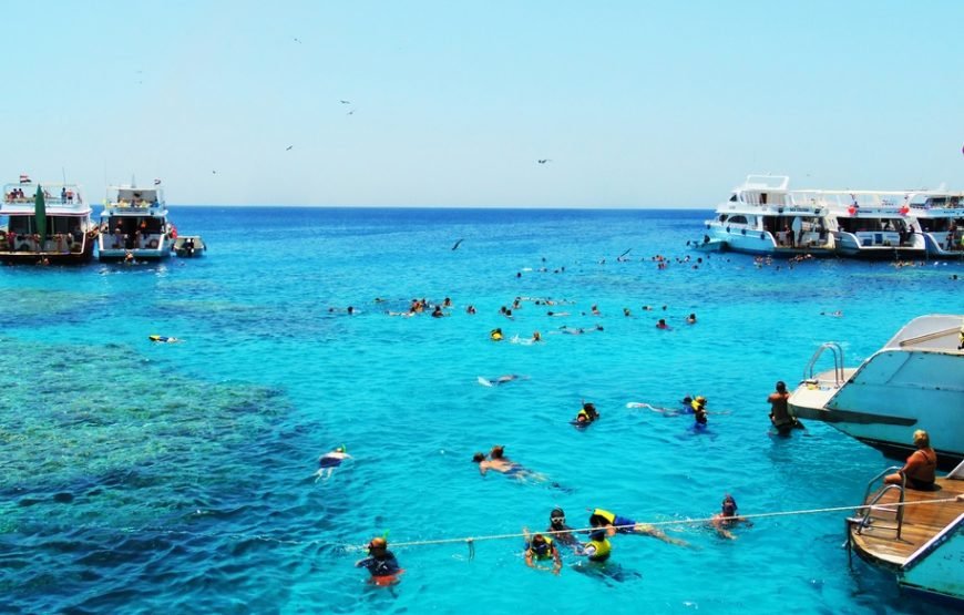 Snorkeling Trip at Port Ghalib Marina – From Marsa Alam